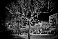 /album/fotogaleria-fotografia-infraroig/img-8399-640x480-jpg/